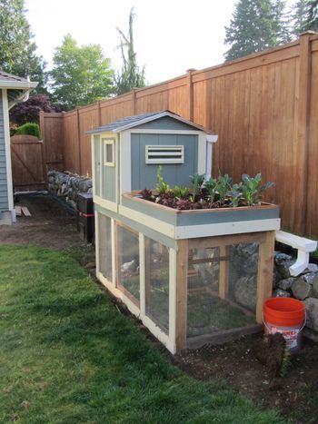 Wow, that chicken coop takes up significantly less space than I had imagined. Hmm...tempting. Wonder how many chickens it fits, and what the city ordinances are around here. Small Chicken Coops, Easy Chicken Coop, Chicken Coup, Fence Plants, Urban Chickens, Coop Design, Chicken Coop Designs, Coop Plans, Building A Chicken Coop