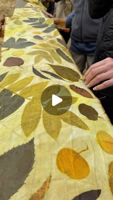 @slowdigz on Instagram: "Ecoprinting with Leaves workshops return! Our first one of the year was a blast @pepperwoodpreserveca  We covered ecoprinting basics and each piece came out unique and beautiful. This group got into the Tataki Zome, pounding dye. Great pounded prints achieved from locally gathered leaves and flowers. The grasses were a lovely surprise. Greens and blues! 🤯   Thank you @pepperwoodpreserveca & participants for a fun day filled with leaf printing. 🌿💛🍁  2 spots remain for Ecoprinting with Leaves on Saturday, June 15th @dharmatradingstore We also have an Ecoprinting with Leaves workshop this fall @laguna_foundation on Saturday, November 2nd  Find out more on our website, www.SlowDigz.com  Happy Ecoprinting!   #ecoprint #sonomacounty #botanical #print #workshop" Print Workshop, Leaf Printing, Fabric Dyeing, Eco Print, Botanical Dyeing, Leaf Crafts, Painting Collage, Eco Printing, Fun Day