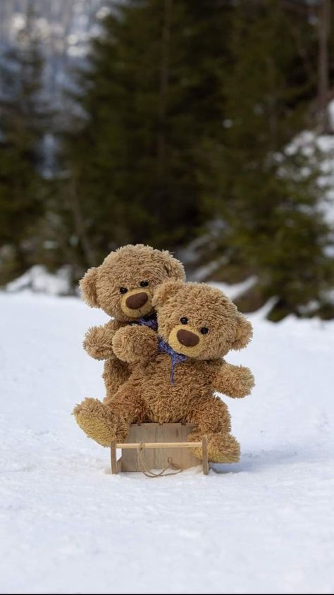 Cute Teddy Bear Pics, Teddy Photos, Teddy Pictures, Teddy Bear Images, Teddy Bear Wallpaper, Teddy Bear Pictures, Christmas Teddy Bear, Simple Iphone Wallpaper, Bear Pictures