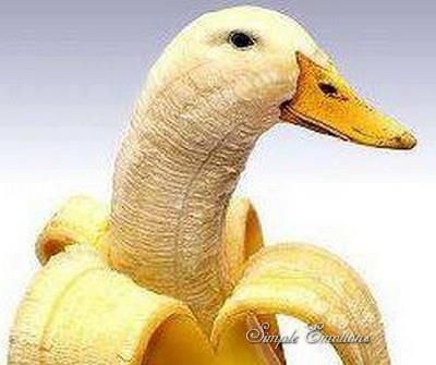 Banana Duck Banana Duck, My Brain, Bananas, Brain