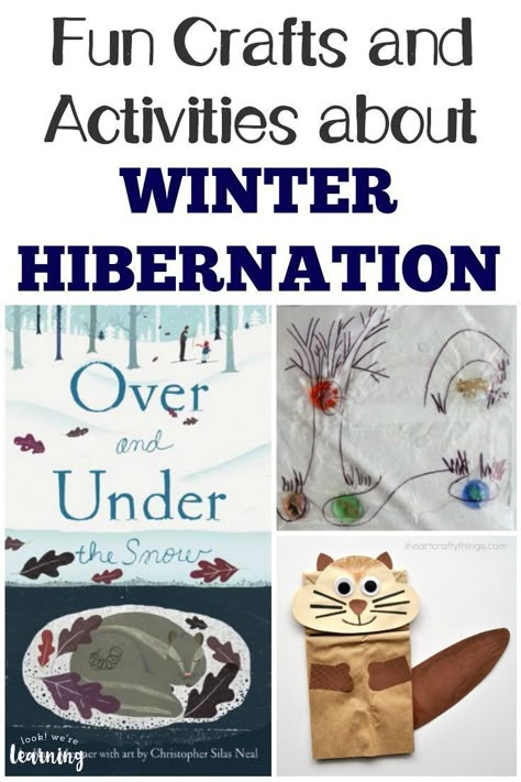 Animal Art Projects For Kids, Preschool Hibernation, Hibernation Preschool Activities, Hibernation Crafts, Hibernation Activities, Hibernation Preschool, Winter Homeschool, Animals That Hibernate, Winter Hibernation