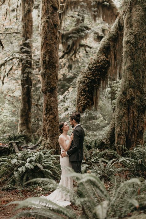 Elopement National Park, National Park Elopement Photography, Olympic National Park Wedding, Elope Photography, Ethereal Elopement, Forest Weddings Washington, Pnw Elopement Photography, Elopement Ideas Washington State, Mountain Pics