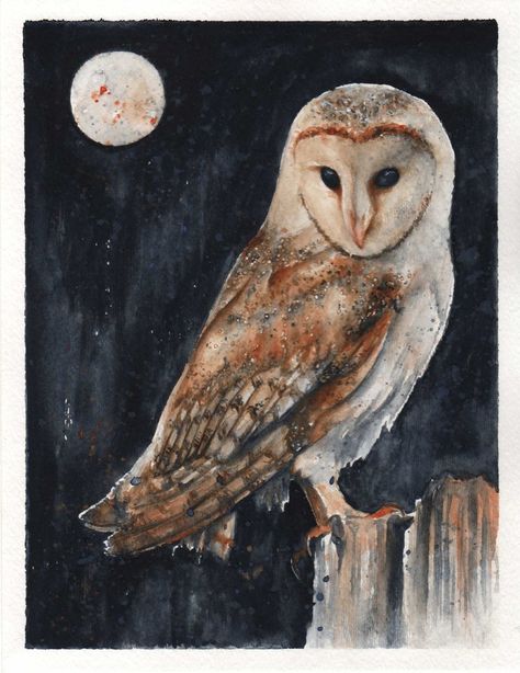 Owl At Night, Owl Pics, Owl Paintings, Owl And Moon, Birds Paintings, Fat Bird, Scarlet Tanager, Barn Owls, Felting Ideas