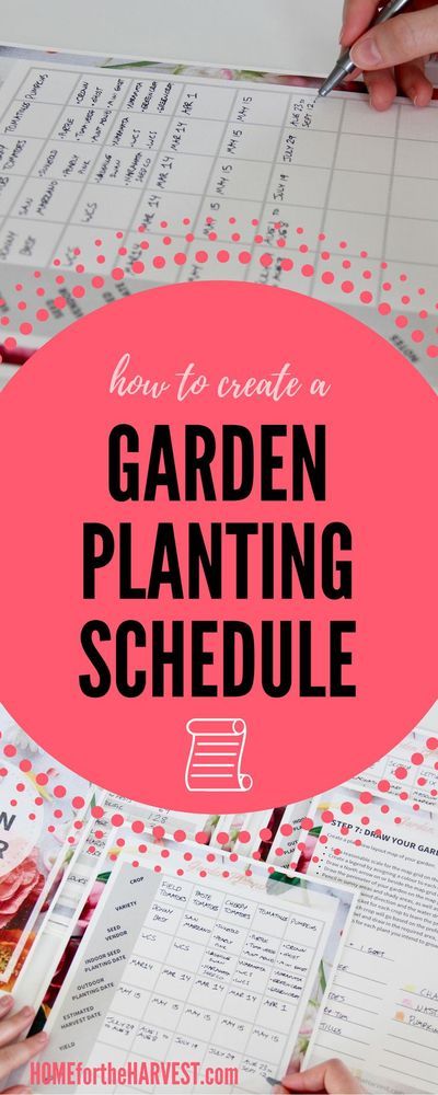 Creating a planting schedule for your garden will help you take out all the guesswork about when to plant your garden! Create a calendar for your plants to go outdoors, and watch the weather to ensure everything is on track! This post will show you exactl Sowing Calendar, Planting Schedule, Free Garden Planner, Journal Flowers, Vegetable Planting, Schedule Calendar, Planting Calendar, Create A Calendar, When To Plant