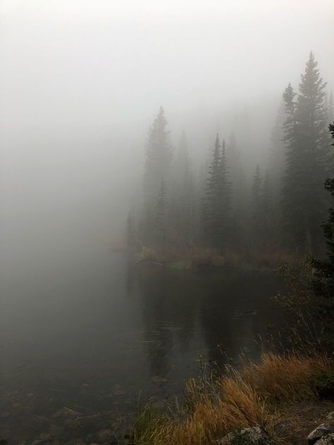 Put Me In A Movie, Foggy Lake, Dark Naturalism, Dark Green Aesthetic, Foggy Forest, Dark Paradise, Misty Forest, Ask Yourself, Dark Photography