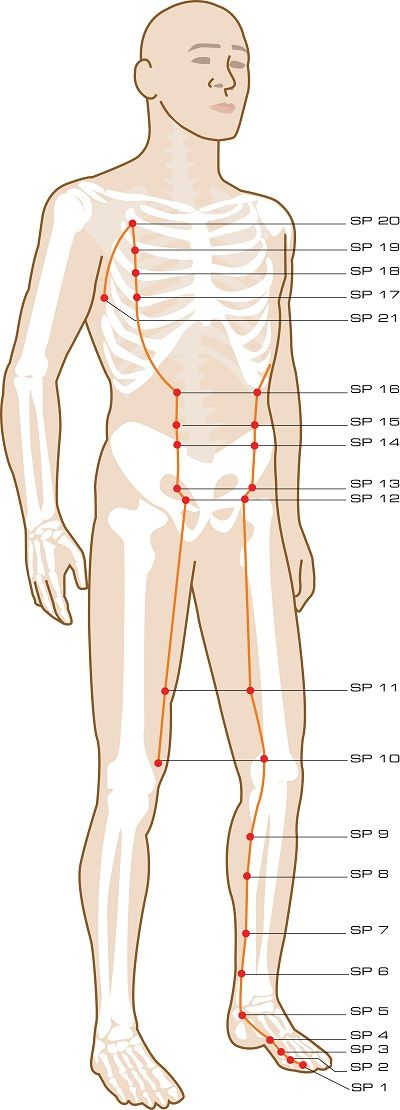 Acupressure Points Chart, Meridian Acupuncture, Meridian Points, Acupuncture Benefits, Craniosacral Therapy, Shiatsu Massage, Energy Medicine, Acupuncture Points, Acupressure Points