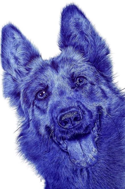 Blue Pen Drawing, Dog Draw, Blue Wolf, Art Wolf, Ballpoint Pen Art, Blue Pen, Dog Pen, Different Art Styles, Pen Sketch