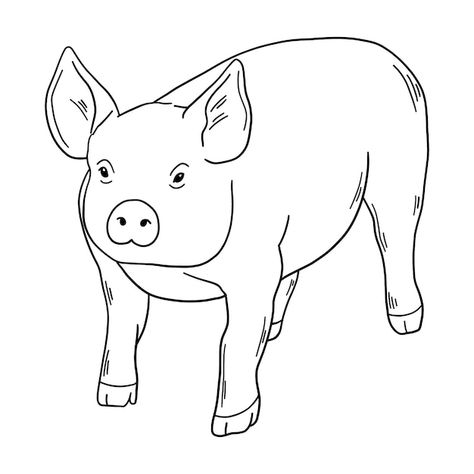 Pig Outline, Pig Drawing, Funny Pigs, Outline Illustration, Psd Icon, Vector Hand, Animals Images, Psd Files, Vector Photo