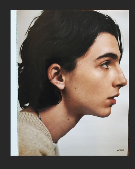 sandrafilter: “Collier Schorr ” Mole On Face, Guy Models, I Only See You, Timmy T, Oui Oui, Timothee Chalamet, 인물 사진, Art Reference Photos, Ariana Grande