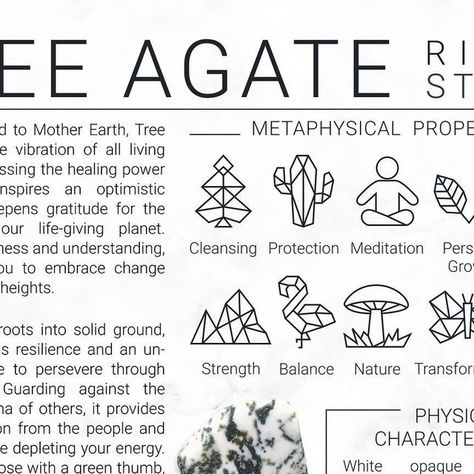 ✨ 𝐂 𝐑 𝐘 𝐒 𝐓 𝐀 𝐋 𝐘 𝐙 𝐄 ✨ on Instagram: "Comment with any ‘🌳🌲🌴’ attract Tree Agate energy into your life! 📌 Save this post for reference 💌 tag your crystal besties! • 𝐓𝐑𝐄𝐄 𝐀𝐆𝐀𝐓𝐄 • 💫 Rising Strong ✨ 𝐌𝐞𝐭𝐚𝐩𝐡𝐲𝐬𝐢𝐜𝐚𝐥 𝐏𝐫𝐨𝐩𝐞𝐫𝐭𝐢𝐞𝐬 : Balance, Calm, Cleansing, Grounding, Meditation, Nature, Personal Growth, Protection, Strength, Transformation 🌈 𝐂𝐡𝐚𝐤𝐫𝐚 : Root & Heart 🌌 𝐙𝐨𝐝𝐢𝐚𝐜 : Taurus, Gemini & Virgo 🪐 𝐏𝐥𝐚𝐧𝐞𝐭 : Earth 🌀 𝐄𝐥𝐞𝐦𝐞𝐧𝐭 : Eart Virgo Planet, Meditation Nature, Grounding Meditation, Rising Strong, Chakra Root, Gemini And Virgo, Earth Element, Zodiac Taurus, Gemini Virgo