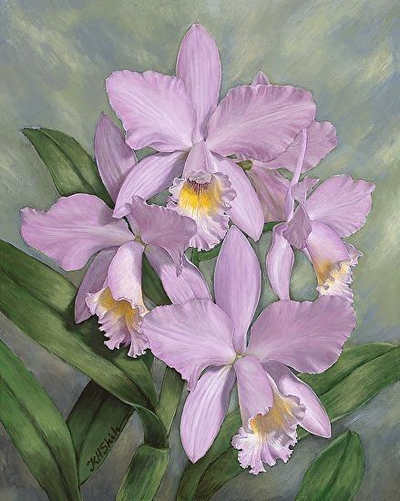 Orchid Drawing, Orchids Painting, Orchid Images, Cattleya Orchid, Acrylic Painting Flowers, Beautiful Orchids, China Painting, Daily Painting, Flower Art Painting