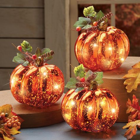 Lighted Harvest Pumpkin Set Fall Home Decor, 3 Pc | Collections Etc. Thanksgiving Centerpieces Table, Dekorasi Halloween, Fall Pumpkin Decor, Easy Fall Decor, Metal Pumpkins, Harvest Pumpkin, Seasonal Displays, Pumpkin Fall Decor, Autumn Lights