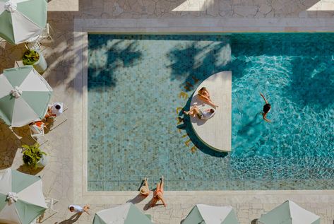 From Bedarra Island Resort's private plunge pools to The Olsen's pristine glass-bottomed pool, these are the most glamorous hotel pools in Australia. Swimming Pool Trends, Calile Hotel, Pool Colors, Fortitude Valley, Hotel Pool, Hotel Interiors, Urban Oasis, Plunge Pool, Swimming Pool Designs