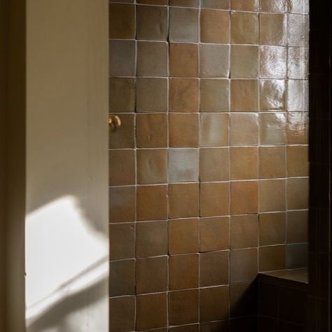 Zia Tile on Instagram: "Our dappled and dramatic Creosote Cotto Allende shimmers in shades of gold-hued greens and browns. Seen here in this stunner of a shower by @amberinteriors   Also featured: Glazed Earth and Casablanca 2x6  📸 by @shadedeggesphotography" Apartment Flip, Brown Shower Tile, Brown Tile Shower, Zia Tile, Brown Tile, Garage Conversion, Glazed Tiles, Green Tile, Main Bathroom