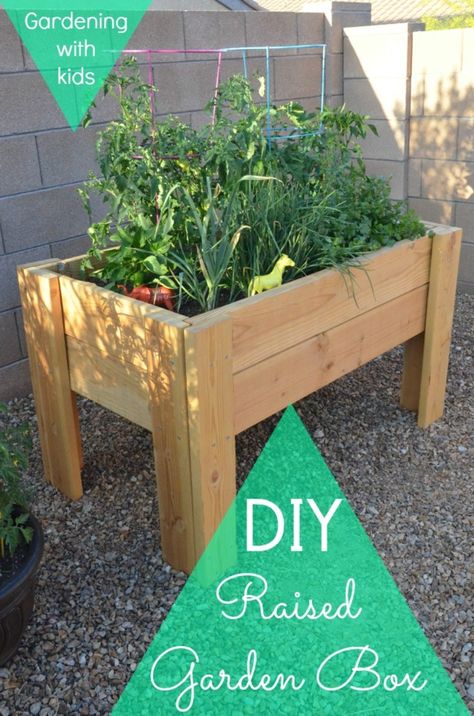 Create a DIY raised garden box. How to garden with kids. Small space garden ideas. MomTrends.com #garden #diygarden #outdoors # gardening Pallet Garden Box, Herb Garden Boxes, Raised Herb Garden, Gardening With Kids, Planter Box Plans, Garden Boxes Diy, Garden Boxes Raised, Vegetable Garden Raised Beds, Building A Raised Garden