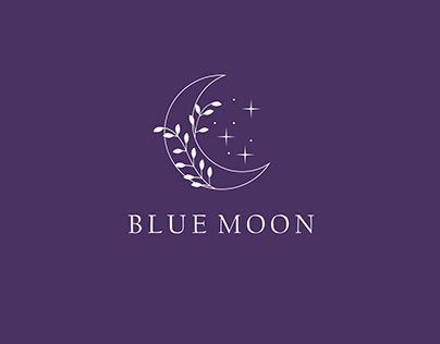 Blue Moon Logo Design, Moon Logo Design Creative, Blue Moon Logo, Magic Store, Capstone Project, Moon Logo, Small Business Success, Travel Logo, Blue Sparkles