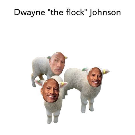 Dwayne Johnson Memes Funny, Dwayne Johnson Meme, Smile Meme, Dwayne The Rock Johnson, Extremely Funny, Rock Johnson, The Rock Dwayne Johnson, Dwayne The Rock, Extremely Funny Jokes