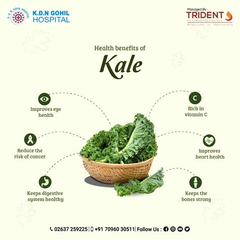 The health benefits of kale in our diet are plenty, have a healthier body by using its advantages to the fullest. #Kale #HealthBenefits #HealthyBody #KDNGohilHospital Health Benefits Of Kale, Kale Benefits, Benefits Of Kale, Healthy Life Tips, Kale Benefits Health, Hospital Health, Energy Shots, Food Content, Health Vitamins