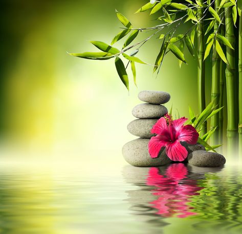 gray stones near hibiscus #flower #water #stones #bamboo #flower #water #orchid #stones #reflection #bamboo #spa #zen #5K #wallpaper #hdwallpaper #desktop Photo Zen, Inner Peace Art, Zen Wallpaper, Zen Aesthetic, Zen Pictures, Guided Imagery, Tableau Art, Beautiful Landscape Wallpaper, Zen Art