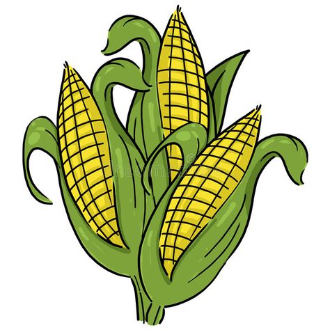 Ears of corn illustration. Corn cartoon; Isolated corn on the cob , #Affiliate, #illustration, #corn, #Ears, #Corn, #cob #ad Buildings Sketchbook, Corn Images, Corn Cartoon, Corn Illustration, Corn Drawing, Corn Stock, Group Illustration, Ear Of Corn, Vegetable Cartoon