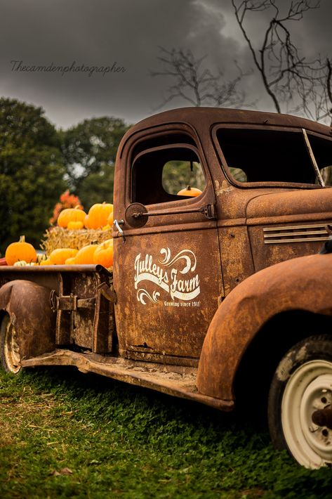 Antique Truck Fall Photoshoot, Truck Fall Photoshoot, Truck With Pumpkins, Wine Farm, Truck Photo, Swimwear Photoshoot, Work Trucks, Festival Photo, Old Pickup