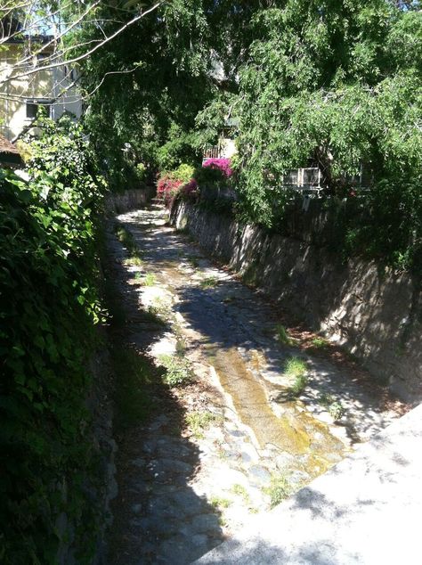 Laurel Canyon 1960s Aesthetic, Laurel Canyon 1960s, Canyon Aesthetic, Hollywood Bungalow, Kim Fowley, 1960s Aesthetic, Garden Of Allah, Rock And Roll History, Flower Children