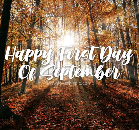 Fall Forest: Happy First Day Of September forest fall september september quotes happy first day of september quotes first day of september first day of september 2020 first day of september quotes first day of september images first day of september pictures happy first day of september images First Day Of September Quotes, Happy September 1st Quotes, September 1st Quotes, September First, First Day Of September, September Pictures, September Images, September Quotes, Forest Fall