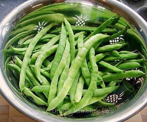 Cooking Pole Beans, New Southern Style | Drick's Rambling Cafe How To Cook Fresh Pole Beans, How To Cook Pole Beans, Pole Bean Recipes, Pole Beans Recipe, Country Food Recipes, Peas Recipes, Green Bean Recipe, Beans In Crockpot, Recipes Sides