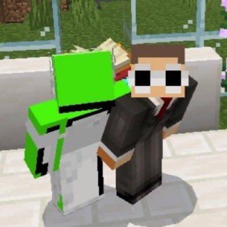 Dream And George, Minecraft A, Twitter Bio, Mc Skins, Mc Wallpaper, Dream Friends, Minecraft Youtubers, Minecraft Fan Art, Minecraft Skins