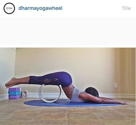 Dharma yoga wheel exercise from @dharmayogawheel Wheel Yoga, Yoga Wheel Stretches, Yoga Wheel Back Stretches, Yoga Poses With Wheel, Yoga Wheel Exercises, Dharma Yoga Wheel, Wheel Pose Yoga, Dharma Yoga, Yoga Wheel