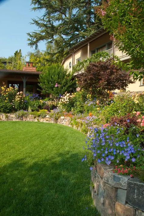 Plant Wildflowers #hillsidelandscaping #budget #decorhomeideas Hill Garden Ideas, Steep Hillside Landscaping, Rock Flower Beds, Hill Garden, Planting Grass, Landscaping On A Hill, Cheap Landscaping Ideas, Building Raised Garden Beds, Hillside House