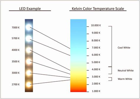 Natural Light Lamp, Light Therapy Lamps, Temperature Chart, Study Drawing, Wayne State University, Lamps Aesthetic, Party Stand, Photography Cheat Sheets, Plant Lights