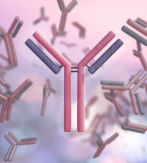 The immune system is constantly asking “friend” or “foe” to incoming proteins. When it reacts to a perceived threat, it forms antibodies. Myeloproliferative Neoplasms, The Immune System, Functional Medicine, Body Sculpting, Immune System, Canning