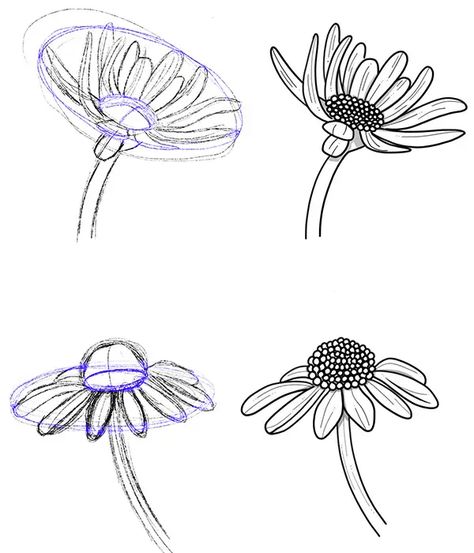 Draw a daisy flower with this mind-blowingly simple tutorial How To Draw Daisy Flowers Step By Step, How To Draw Daisies Step By Step, Drawing A Daisy, Flower Shapes Drawing, Daisy Sketch Simple, Daisies Sketch, Simple Daisy Drawing, Daisy Drawing Simple, Line Drawing Daisy