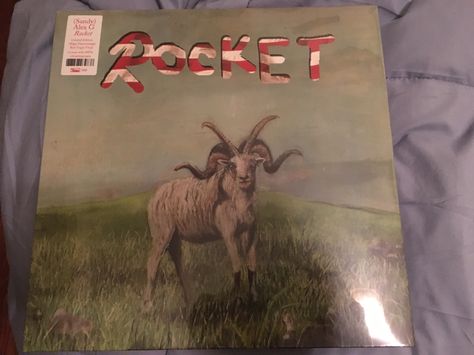 Alex G-Rocket (red vinyl) Goth Dresser, Bohemian Goth, Powerful Man, Vinyl Record Collection, Entryway Mudroom, Alex G, Red Vinyl, G Man, Music Cds