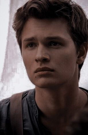 Caleb Divergent, Dystopian Men, Caleb Prior, Twin Crowns, Divergent Characters, Divergent Fandom, Strong Girl, Allegiant, Insurgent