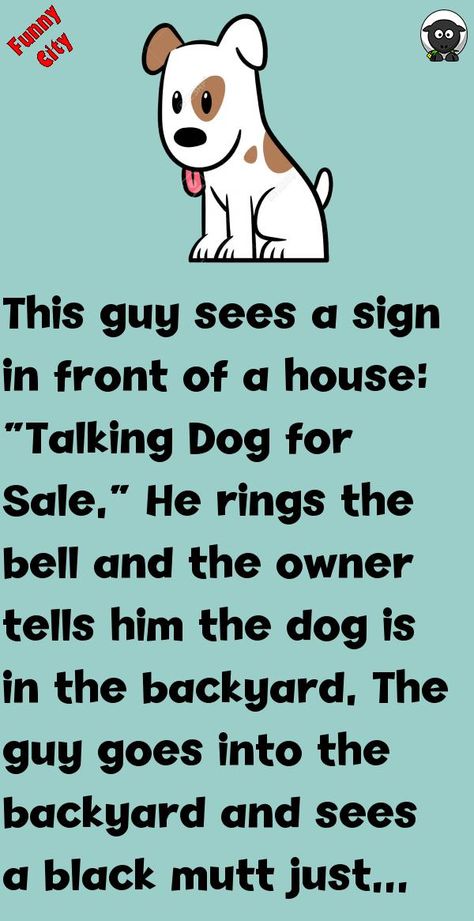 This guy sees a sign in front of a house: “Talking Dog for Sale.”He rings the bell and the owner tells him the dog is in the backyard.The guy goes into the backyard and sees a black .. #funny, #joke, #humor Dog Jokes Hilarious, Funny Signs Humor, Dog Humor Cartoon, Funny Talking Dog, Front Of A House, Funny Dog Signs, Dog Texts, Dog For Sale, Funny Dog Jokes