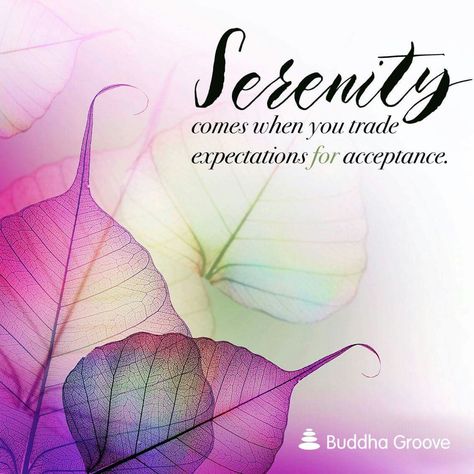 Serenity comes when you trade expectations for acceptance. Quote Buddha, Buddhist Quote, Serenity Quotes, Buddha Groove, Peaceful Living, Buddha Quotes, Yoga Quotes, Spiritual Awakening, Inspirational Quote