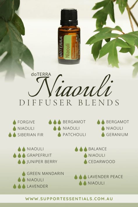 Doterra Niaouli, Sacred Sisters, Niaouli Essential Oil, Doterra Diffuser, Meditation Inspiration, Doterra Diffuser Blends, Doterra Essential Oils Recipes, Essential Oil Diffuser Blends Recipes, Diffuser Oil