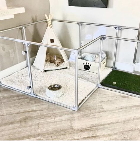 Clearly Loved Pets, Acrylic Wall Panels, Pet Teepee, Dog Bed Modern, Puppy Stages, Bump Out, Baby Milo, Bunny Cages, Dog Pen