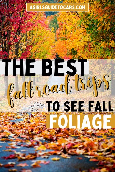 fall foliage Fall Foliage Trips, Fall Foilage, Fall Foliage Road Trips, Best Weekend Trips, Fall Road Trip, Autumn Foliage, Road Trip Hacks, Fall Travel, Road Trip Fun