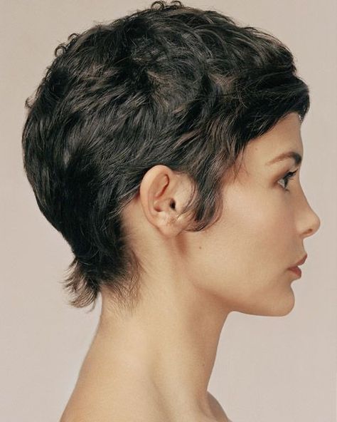 Easy Crazy Hairstyles, Pixie Cut Curly Hair, Easy Short Haircuts, Curly Hair Trends, Short Curly Pixie, Audrey Tautou, Girls Short Haircuts, Girl Haircuts, Cute Hairstyles For Short Hair