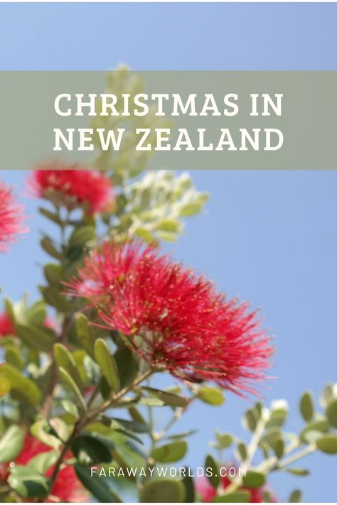 Every wondered what a summer time Christmas is like? Here's a hint of what to expect if your travels take you to New Zealand around the festive season. Christmas In New Zealand, Xmas Poster, Kiwi Christmas, New Zealand Christmas, Christmas In Australia, Its Christmas Eve, Christmas Service, Christchurch New Zealand, Office Christmas Party