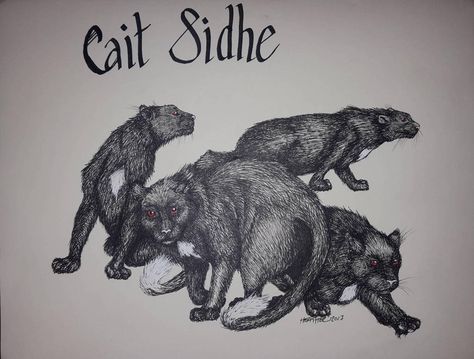 Cait Sidhe by https://www.deviantart.com/dragynfyre18 on @DeviantArt Cait Sidhe, Saber Tooth Cat Art, Freya Cat Chariot, Mythical Cat Art, Fairy Cats, Cat Sidhe Art, Harry Dresden, Jim Butcher, Celtic Cats