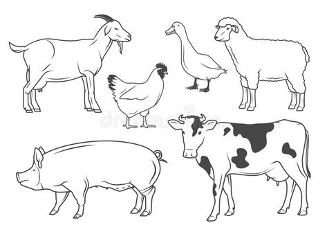 Farm animals. Set of vector drawings of farm animals , #Ad, #Set, #animals, #Farm, #farm, #drawings #ad Drawings Of Farm Animals, Jungle Images, Animal Paintings Acrylic, Pencil Drawings Of Girls, Baby Animal Drawings, Pencil Drawings Of Animals, Farm Dogs, Silly Dogs, Outline Drawings