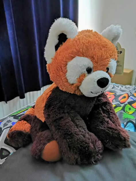 Please follow #iloveredpandas Wondering if my Red panda plush belongs here? (It's called Narama) #redpanda #panda #cutebear #bear #animal #firefox #panda #pandabear Red Panda Stuffed Animal, Red Panda Plush, Panda Stuffed Animal, Red Panda, Character Development, Cute Bears, Panda Bear, Concert Outfit, Teddy Bear