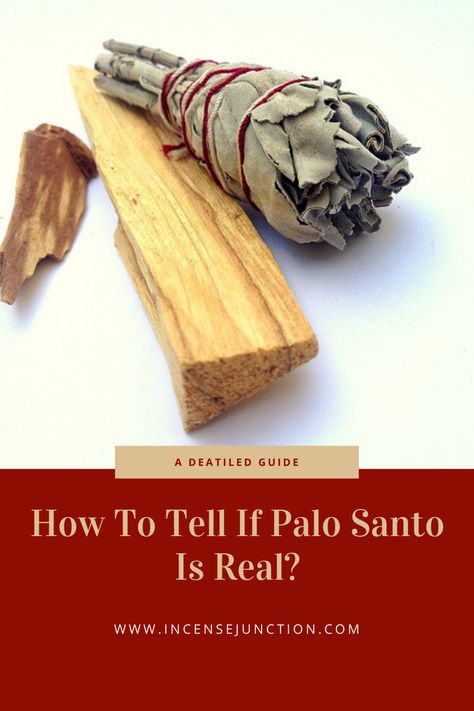 Real Vs. Fake Palo Santo Sage And Palo Santo, Palo Santo Sticks, Burning Sage, Smudge Sticks, Incense, To Tell, Canning, Wood, Santos