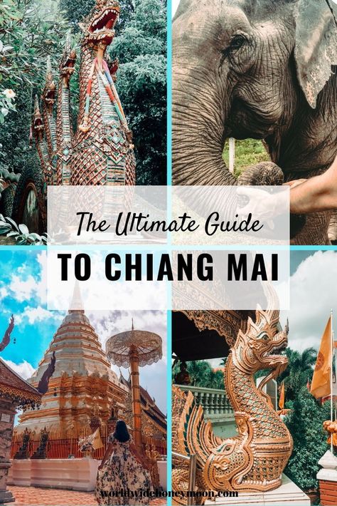 Chiang Mai Itinerary, Thailand Pics, Honeymoon Thailand, Thailand Travel Destinations, Thailand Itinerary, Asia Trip, Thailand Vacation, Thailand Trip, Thailand Travel Tips