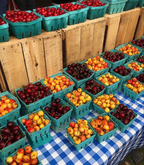 Tom Lake Ann Patchett Aesthetic, Cherry Picking Aesthetic, Summer Farmers Market Aesthetic, Fruit Stand Aesthetic, Tom Lake, Summer Farmers Market, Fruit Picnic, Cozy Core, Fall Moodboard