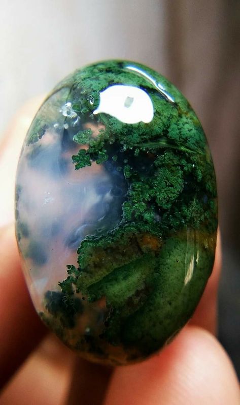 Moss Agate Stone, Rocks And Fossils, Different Kinds Of Art, Pretty Rocks, Cool Rocks, Love Rocks, Mineral Stone, Minerals And Gemstones, Rocks And Gems